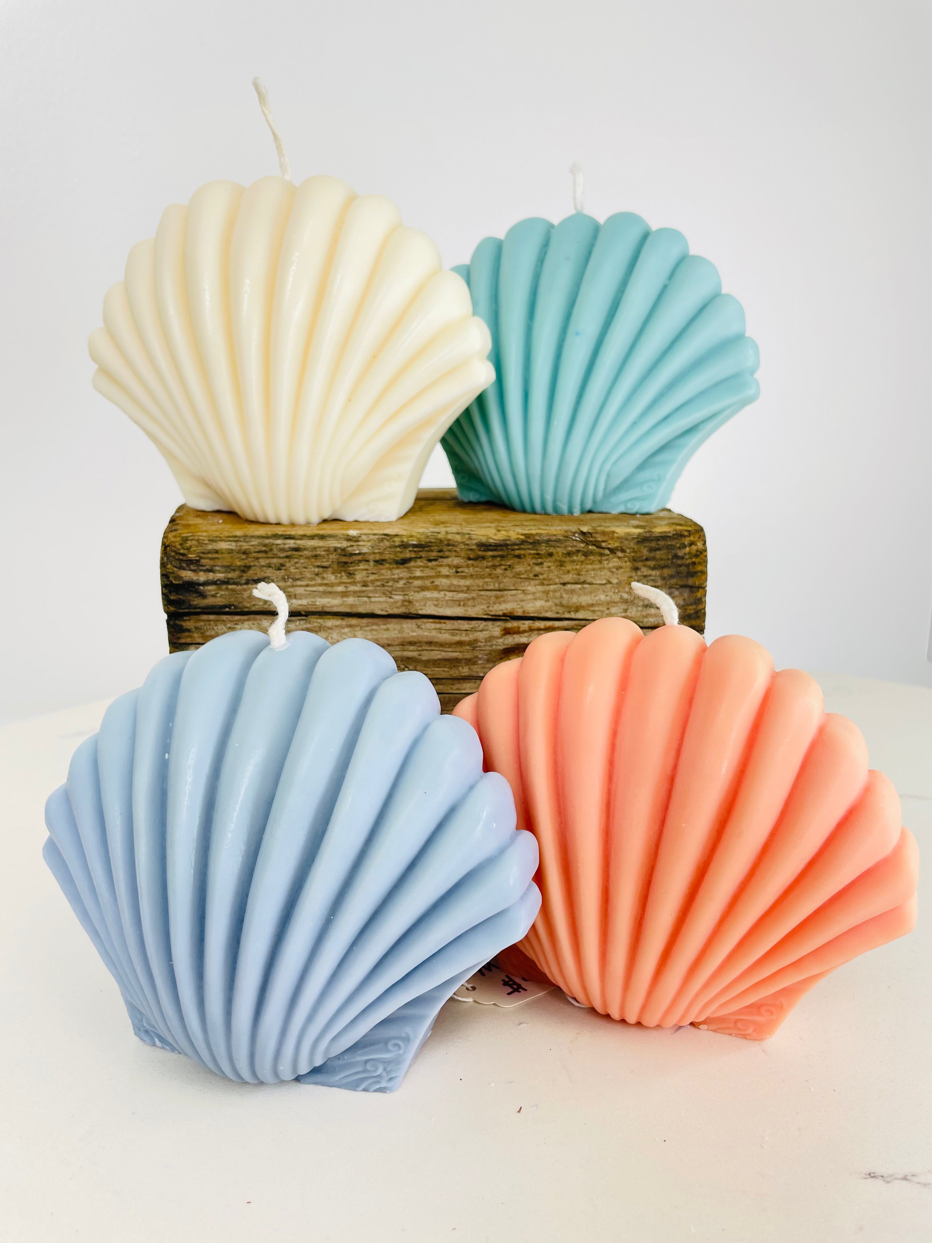 Scallop Shell Candle